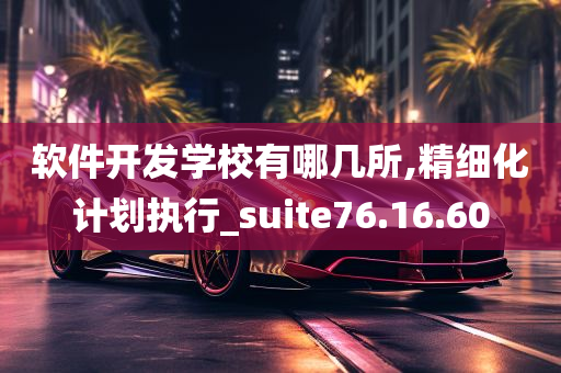 软件开发学校有哪几所,精细化计划执行_suite76.16.60