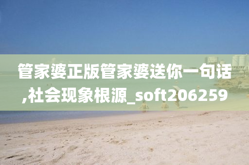 管家婆正版管家婆送你一句话,社会现象根源_soft206259