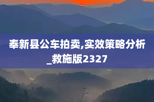 奉新县公车拍卖,实效策略分析_救施版2327