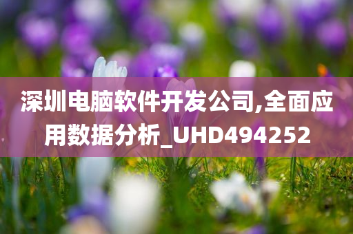 深圳电脑软件开发公司,全面应用数据分析_UHD494252