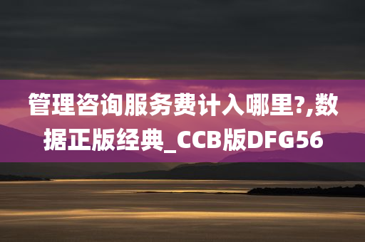 管理咨询服务费计入哪里?,数据正版经典_CCB版DFG56