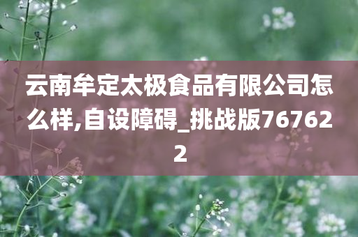 云南牟定太极食品有限公司怎么样,自设障碍_挑战版767622