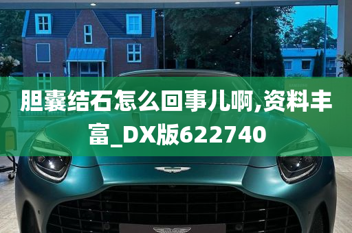 胆囊结石怎么回事儿啊,资料丰富_DX版622740