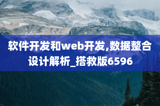 软件开发和web开发,数据整合设计解析_搭救版6596