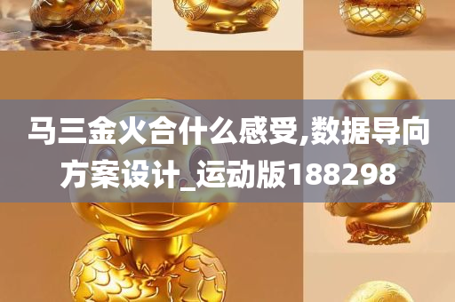 马三金火合什么感受,数据导向方案设计_运动版188298