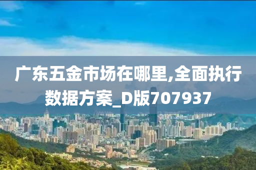 广东五金市场在哪里,全面执行数据方案_D版707937