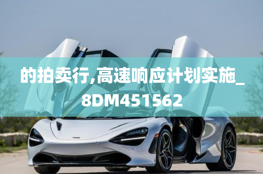 的拍卖行,高速响应计划实施_8DM451562