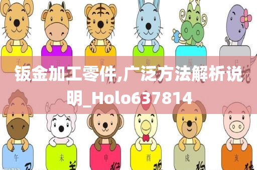 钣金加工零件,广泛方法解析说明_Holo637814