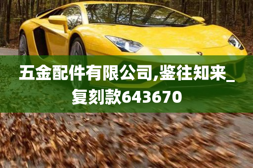 五金配件有限公司,鉴往知来_复刻款643670