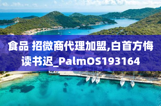 食品 招微商代理加盟,白首方悔读书迟_PalmOS193164