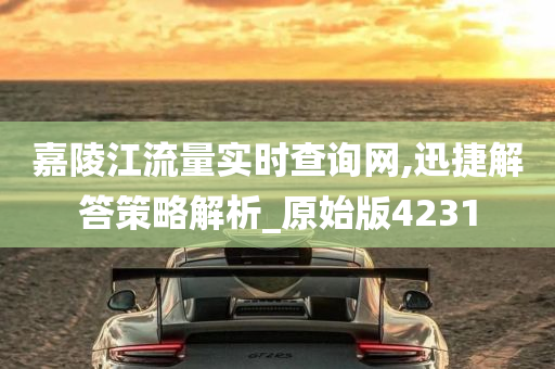 嘉陵江流量实时查询网,迅捷解答策略解析_原始版4231