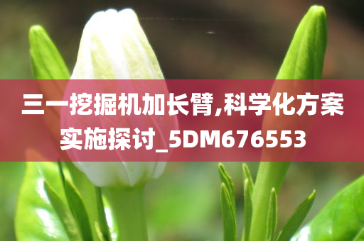 三一挖掘机加长臂,科学化方案实施探讨_5DM676553