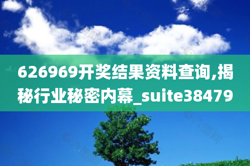 626969开奖结果资料查询,揭秘行业秘密内幕_suite384790