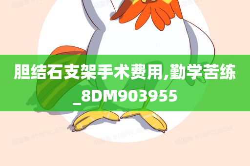 胆结石支架手术费用,勤学苦练_8DM903955