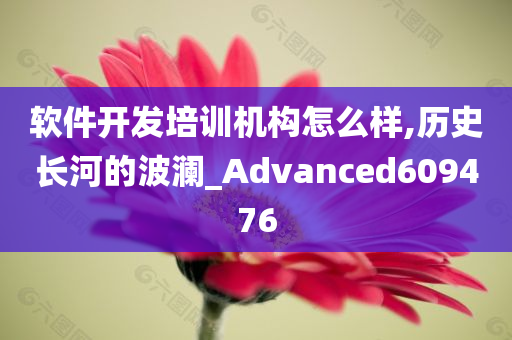 软件开发培训机构怎么样,历史长河的波澜_Advanced609476