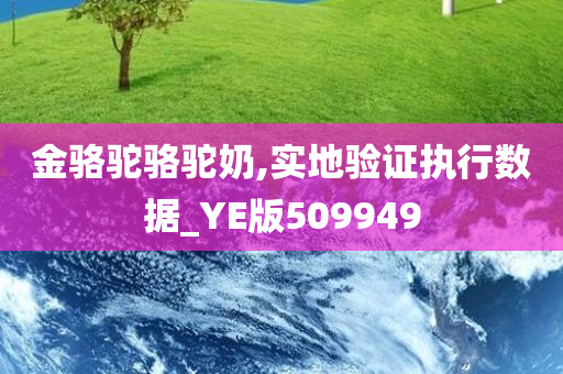 金骆驼骆驼奶,实地验证执行数据_YE版509949