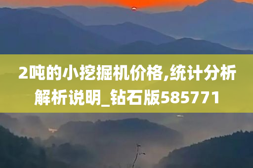 2吨的小挖掘机价格,统计分析解析说明_钻石版585771