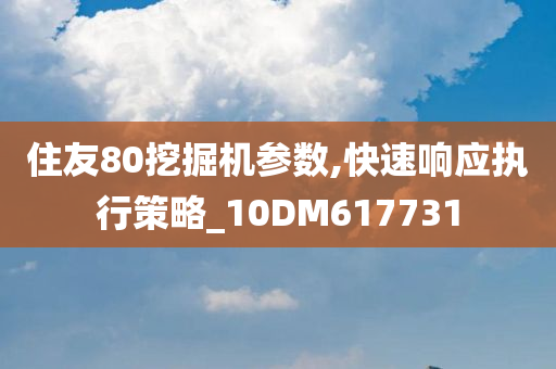 住友80挖掘机参数,快速响应执行策略_10DM617731