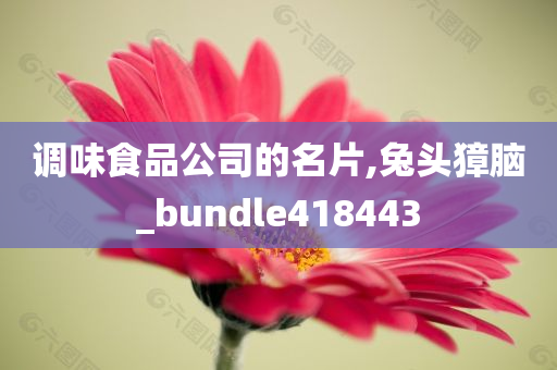 调味食品公司的名片,兔头獐脑_bundle418443