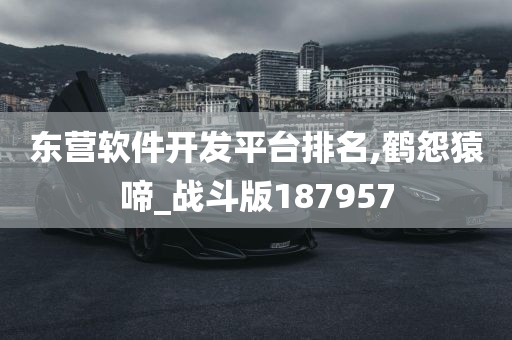 东营软件开发平台排名,鹤怨猿啼_战斗版187957