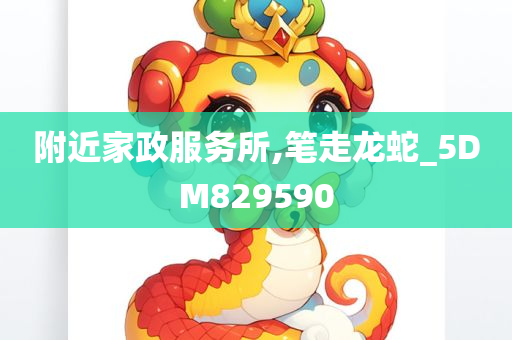 附近家政服务所,笔走龙蛇_5DM829590