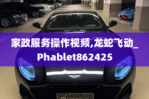 家政服务操作视频,龙蛇飞动_Phablet862425