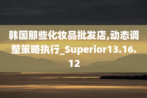 韩国那些化妆品批发店,动态调整策略执行_Superior13.16.12