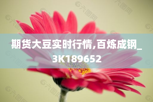 期货大豆实时行情,百炼成钢_3K189652