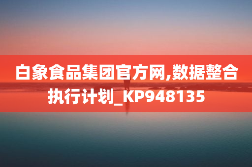 白象食品集团官方网,数据整合执行计划_KP948135