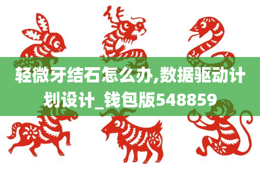 轻微牙结石怎么办,数据驱动计划设计_钱包版548859