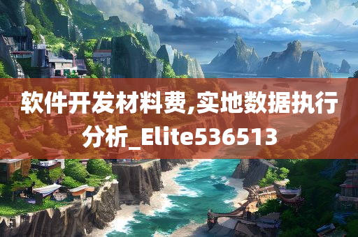 软件开发材料费,实地数据执行分析_Elite536513