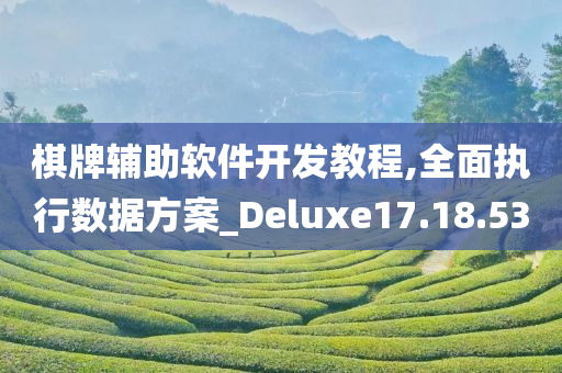 棋牌辅助软件开发教程,全面执行数据方案_Deluxe17.18.53