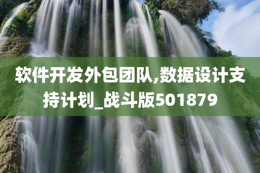 软件开发外包团队,数据设计支持计划_战斗版501879