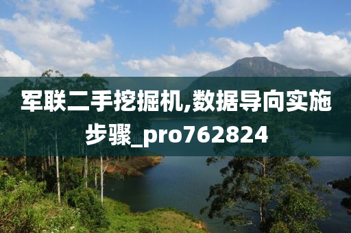 军联二手挖掘机,数据导向实施步骤_pro762824