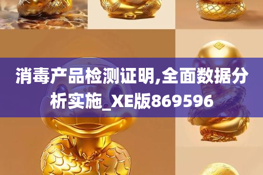 消毒产品检测证明,全面数据分析实施_XE版869596