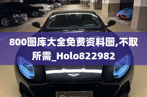 800图库大全免费资料图,不取所需_Holo822982