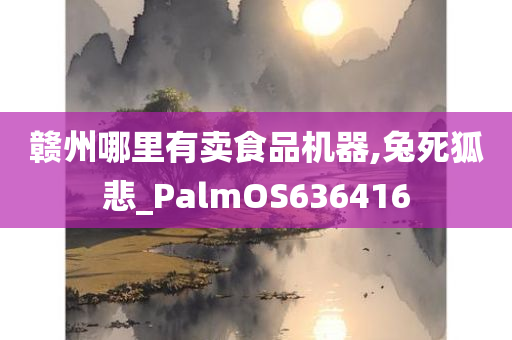 赣州哪里有卖食品机器,兔死狐悲_PalmOS636416