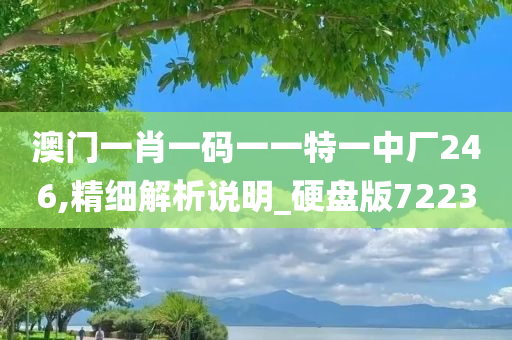 澳门一肖一码一一特一中厂246,精细解析说明_硬盘版7223