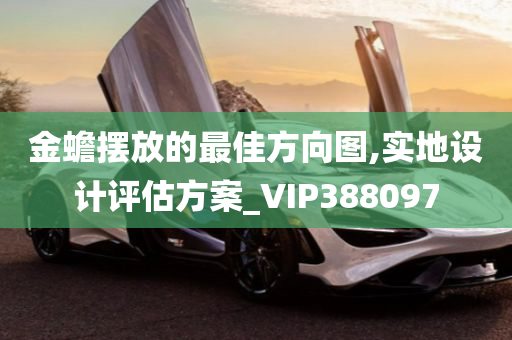 金蟾摆放的最佳方向图,实地设计评估方案_VIP388097