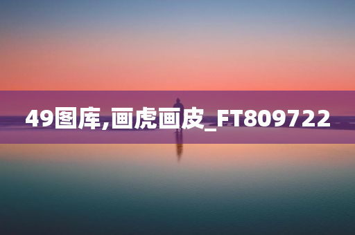 49图库,画虎画皮_FT809722