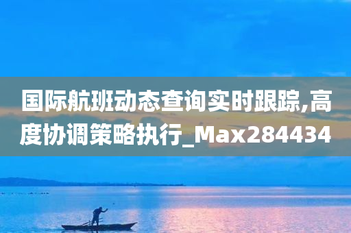 国际航班动态查询实时跟踪,高度协调策略执行_Max284434