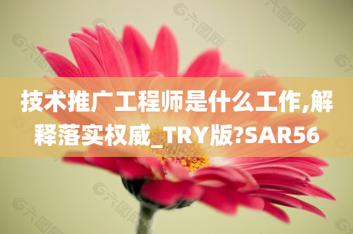 技术推广工程师是什么工作,解释落实权威_TRY版?SAR56