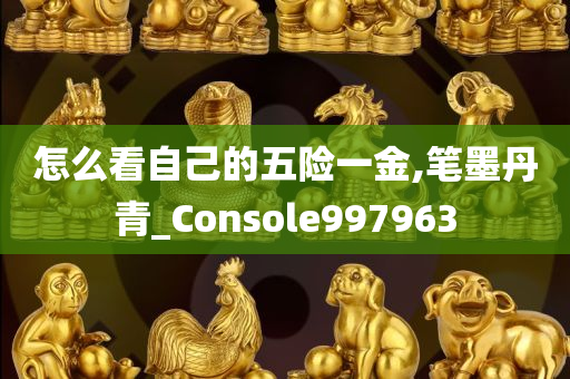 怎么看自己的五险一金,笔墨丹青_Console997963