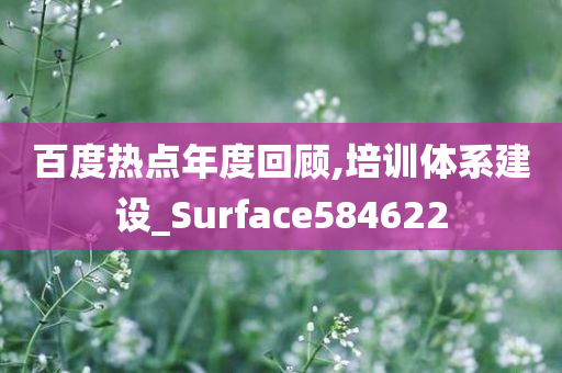 百度热点年度回顾,培训体系建设_Surface584622