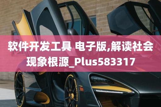 软件开发工具 电子版,解读社会现象根源_Plus583317