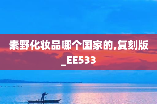 素野化妆品哪个国家的,复刻版_EE533