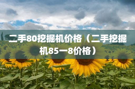 二手80挖掘机价格（二手挖掘机85一8价格）