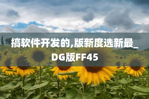 搞软件开发的,版新度选新最_DG版FF45