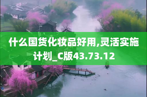 什么国货化妆品好用,灵活实施计划_C版43.73.12