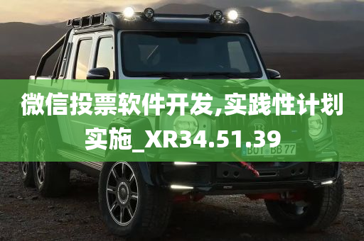 微信投票软件开发,实践性计划实施_XR34.51.39